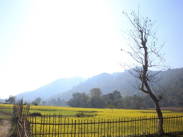 മയോങ്