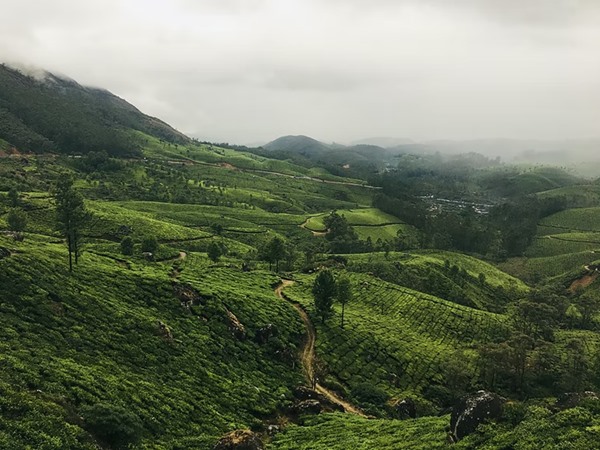 അടൂര്-മൂന്നാര് ഉല്ലാസയാത്ര- ഓഗസ്റ്റ് 7
