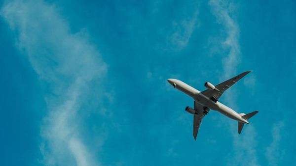 flight service flight service