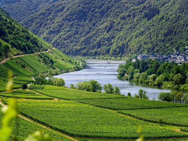 German.Local.Culture & Embrace German