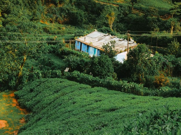 മേഘമല