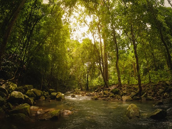 മയൂര്ബഞ്ച്, ഒഡീഷ