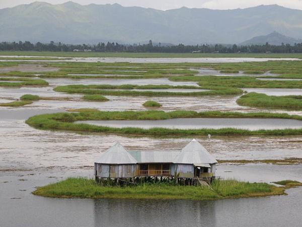 ലോക്തക് തടാകം, മണിപ്പൂർ