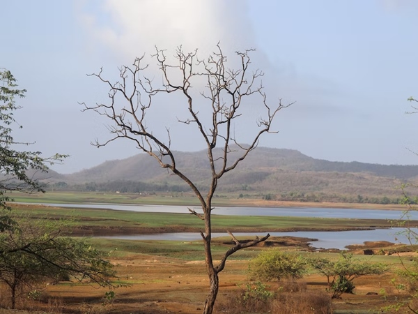 ഏഴ് രാത്രിയും എട്ടു പകലും