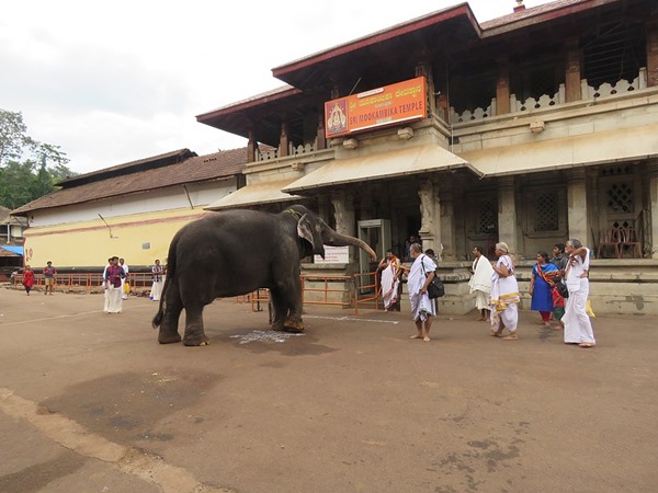 വിജയദശമി