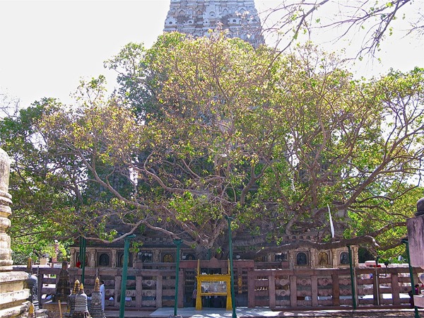 മഹാബോധി ക്ഷേത്രം, ബീഹാർ