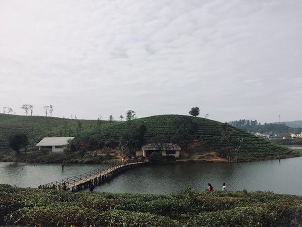 വാഗമൺ