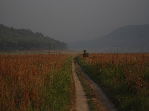 ധേല സഫാരി സോൺ