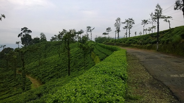 യാത്രാ തിയതിയും ടിക്കറ്റ് നിരക്കും