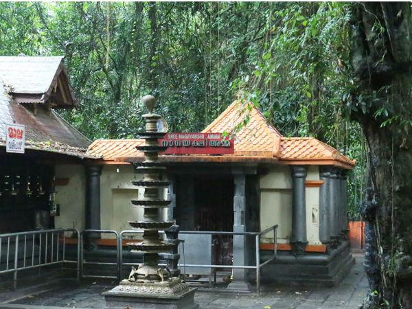 മണ്ണാറശ്ശാല ആയില്യം 2022 പൂജാ സമയം