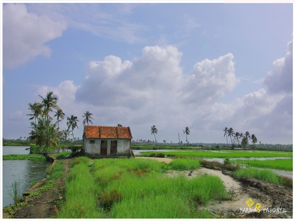 കടമക്കുടി
