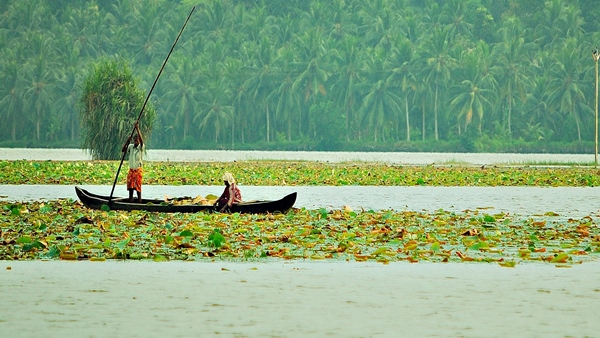 പ്രഖ്യാപനം