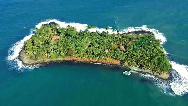വിലയോ?