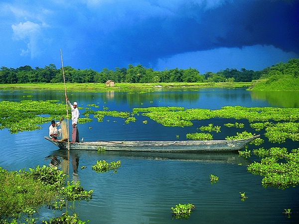 മജൂലി