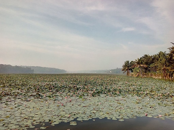 പക്ഷി നിരീക്ഷണവും