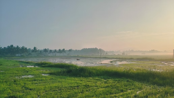 കിരീടവും പുഞ്ചക്കരിയും